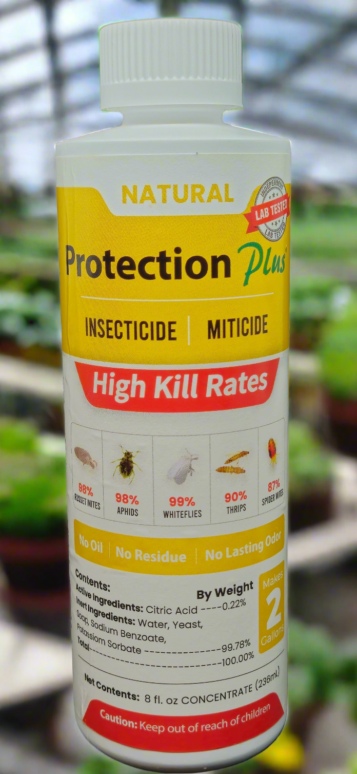 Protection Plus - all natural insecticide/miticide