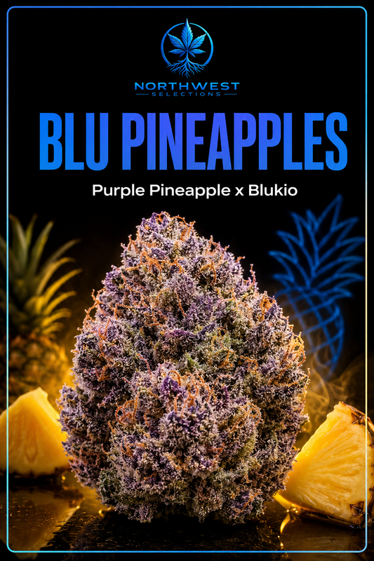 Blu Pineapples