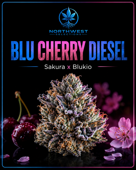 Blu Cherry Diesel