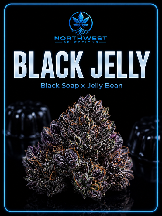 Black Jelly