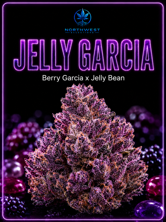 Jelly Garcia