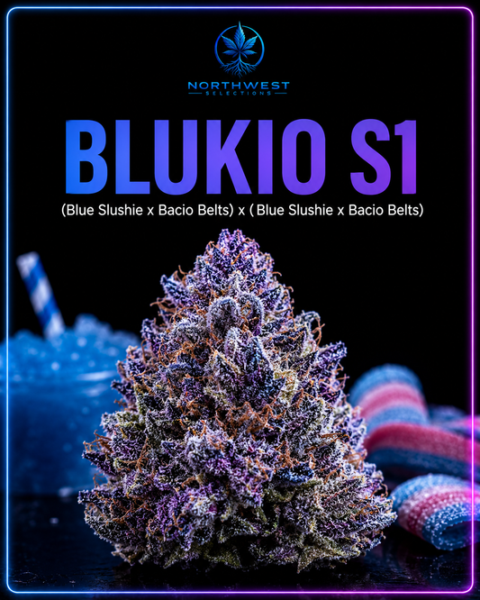 Blukio S1