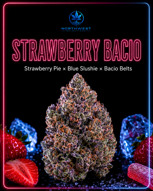 Strawberry Bacio