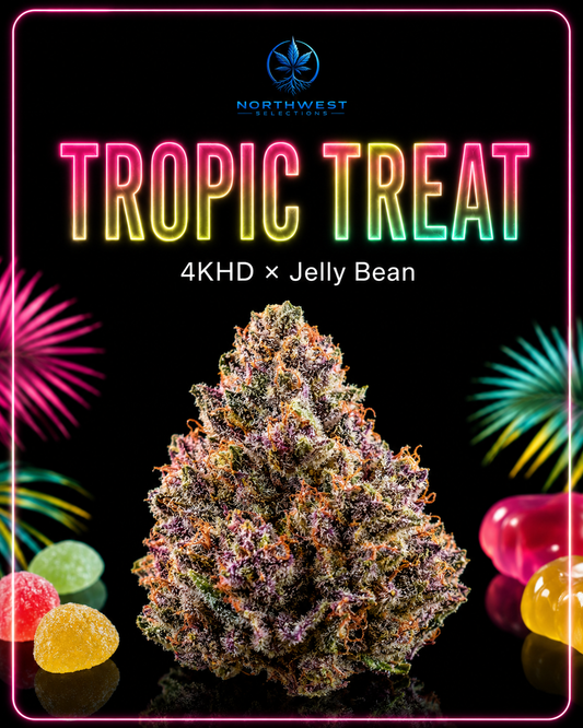 Tropic Treat