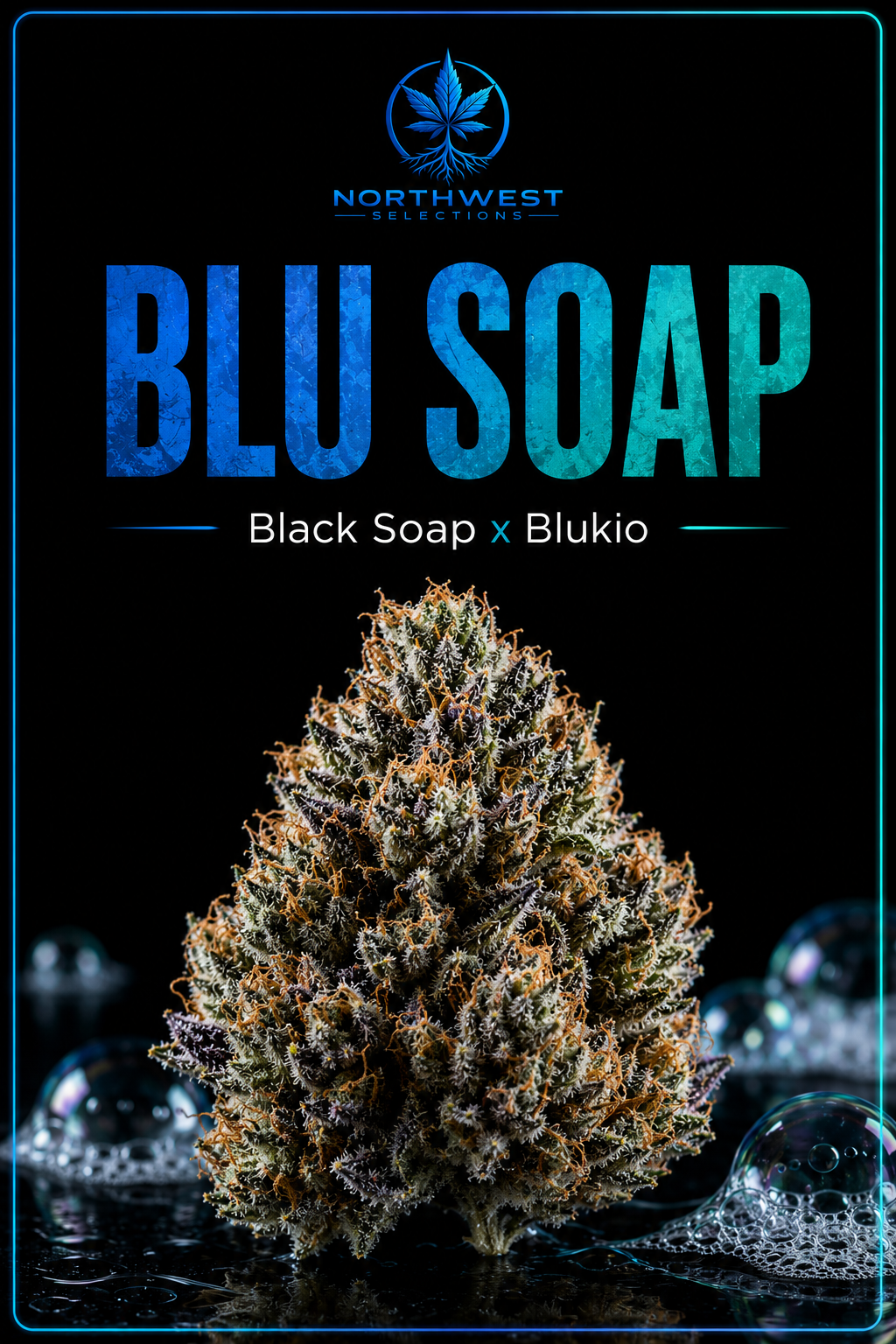 Blu Soap