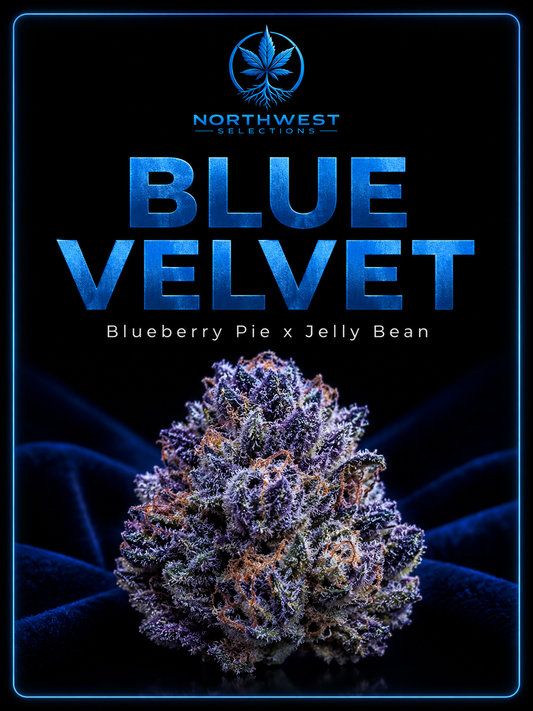 Blue Velvet