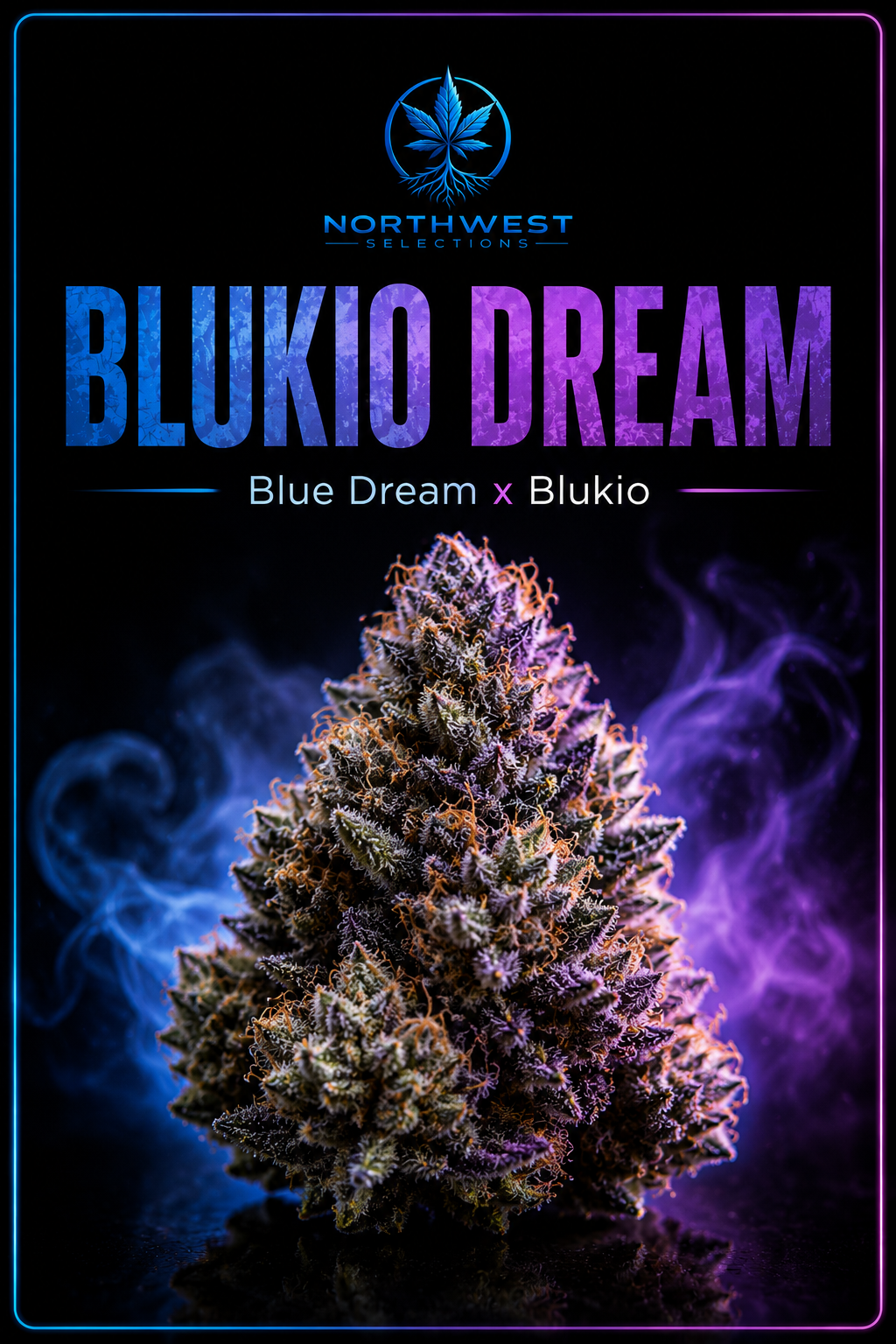 Blukio Dream